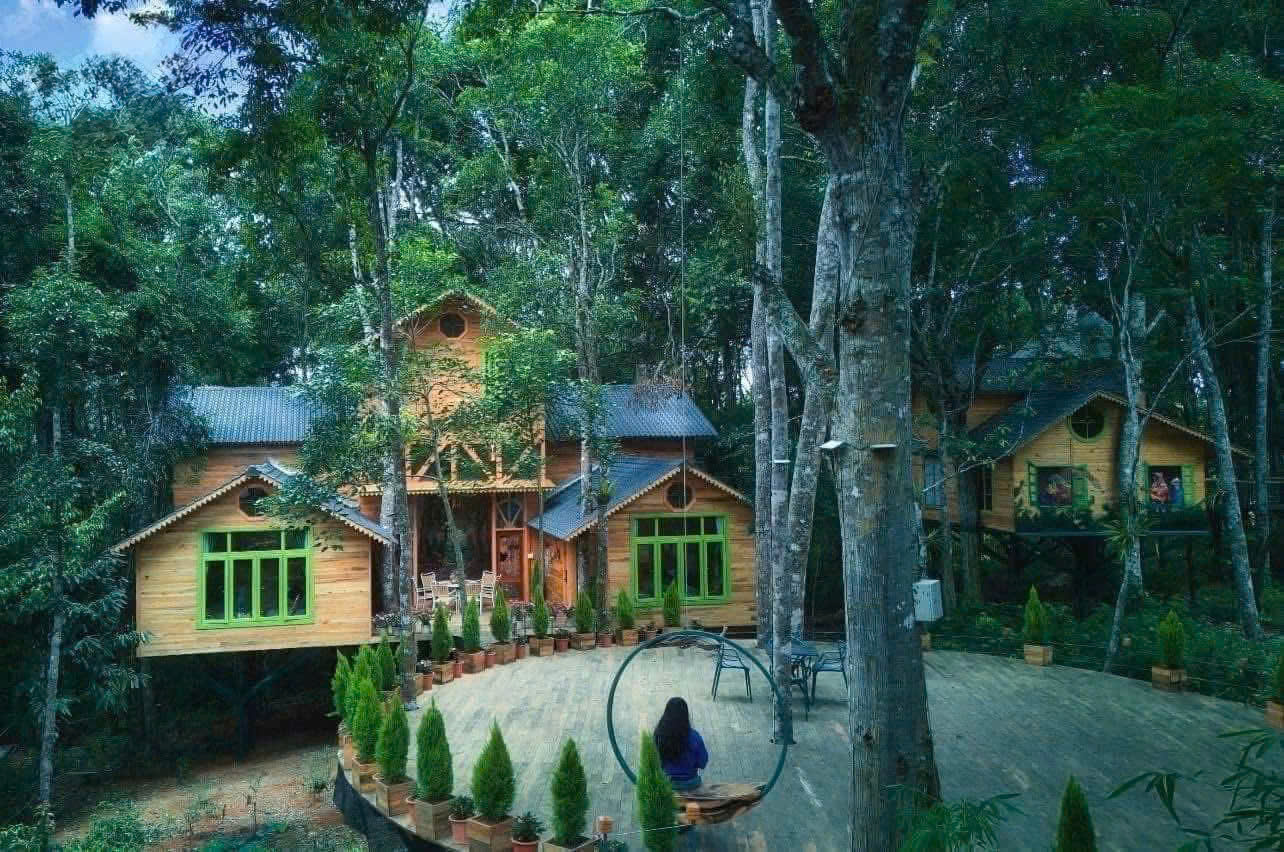 Gallery - Măng Đen Treehouse được đề cử ‘Làng du lịch tốt nhất thế giới’