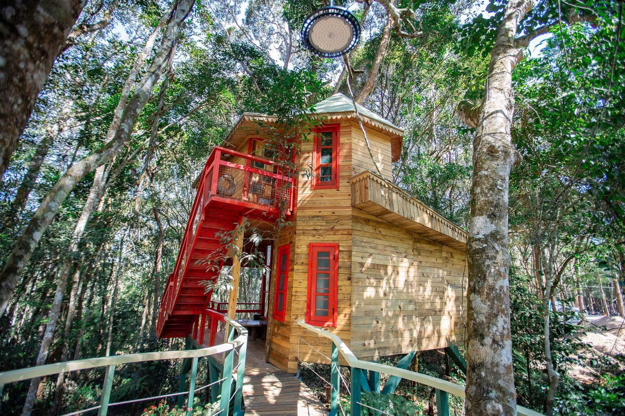 Gallery - Măng Đen Treehouse được đề cử ‘Làng du lịch tốt nhất thế giới’ - image 1