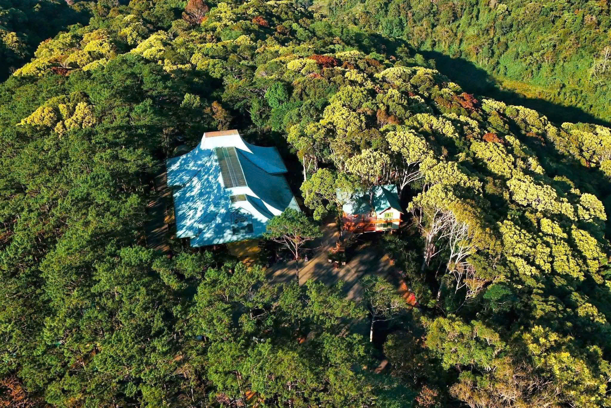 Gallery - Măng Đen Treehouse được đề cử ‘Làng du lịch tốt nhất thế giới’ - image 2
