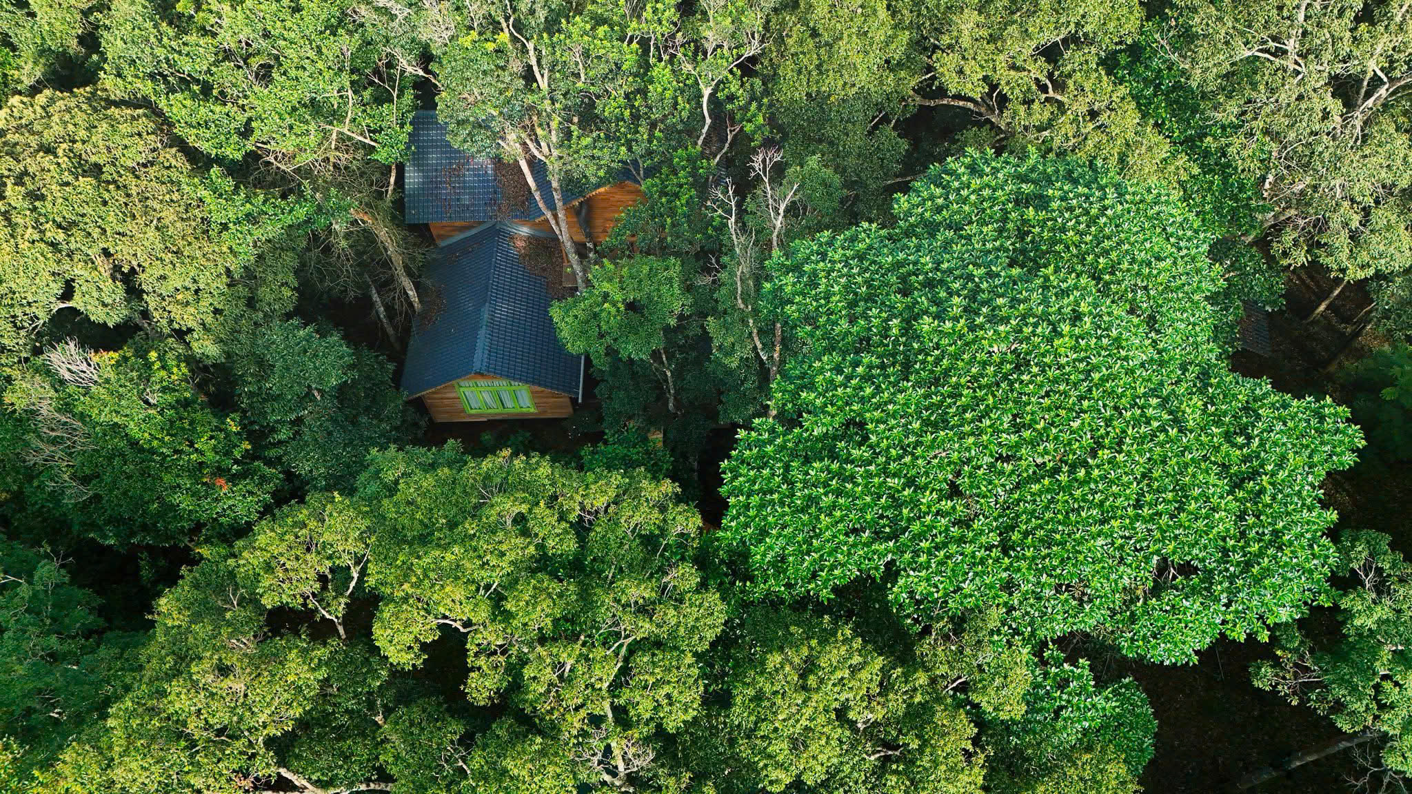 Gallery - Măng Đen Treehouse được đề cử ‘Làng du lịch tốt nhất thế giới’ - image 3