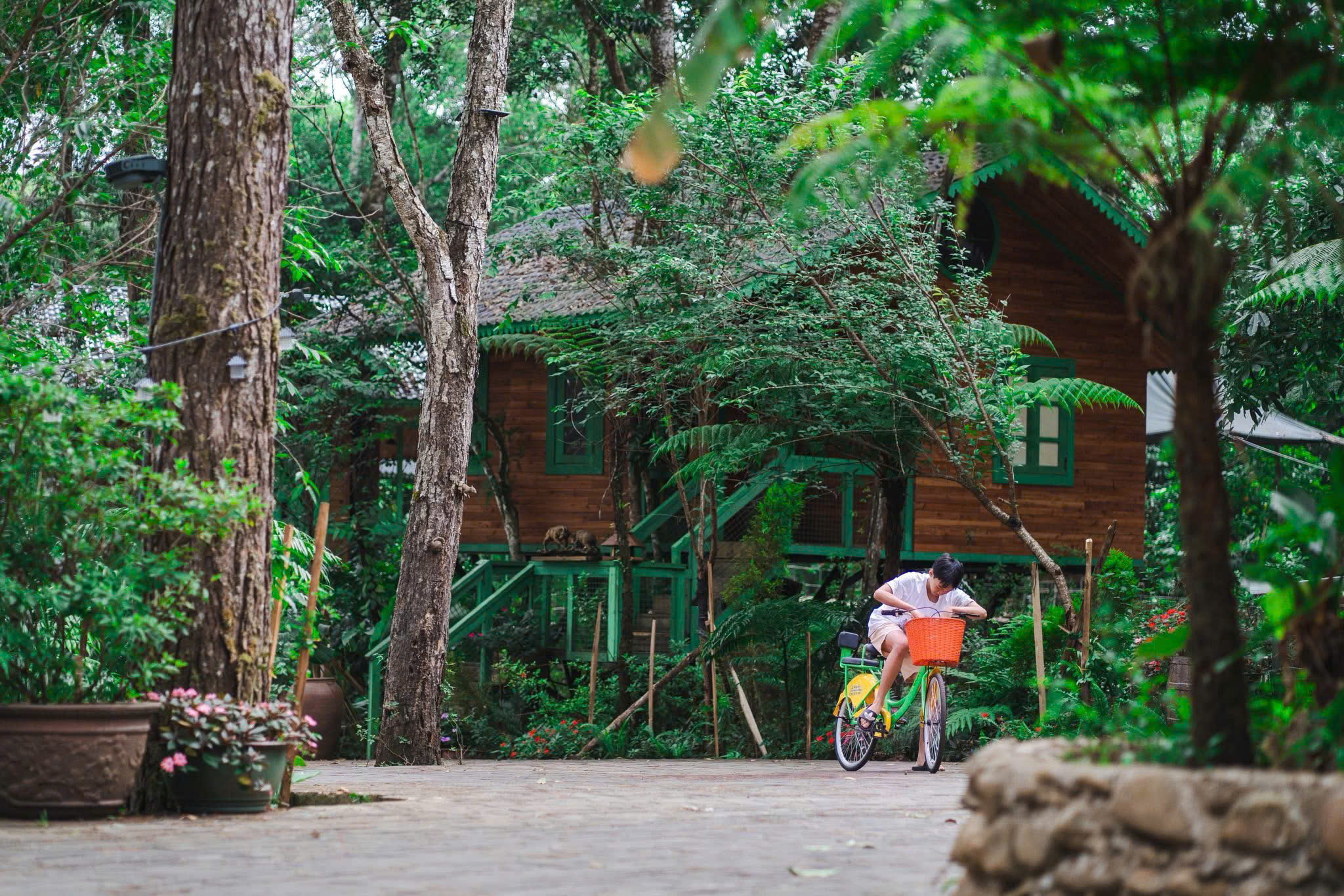 Gallery - Măng Đen Treehouse được đề cử ‘Làng du lịch tốt nhất thế giới’ - image 7