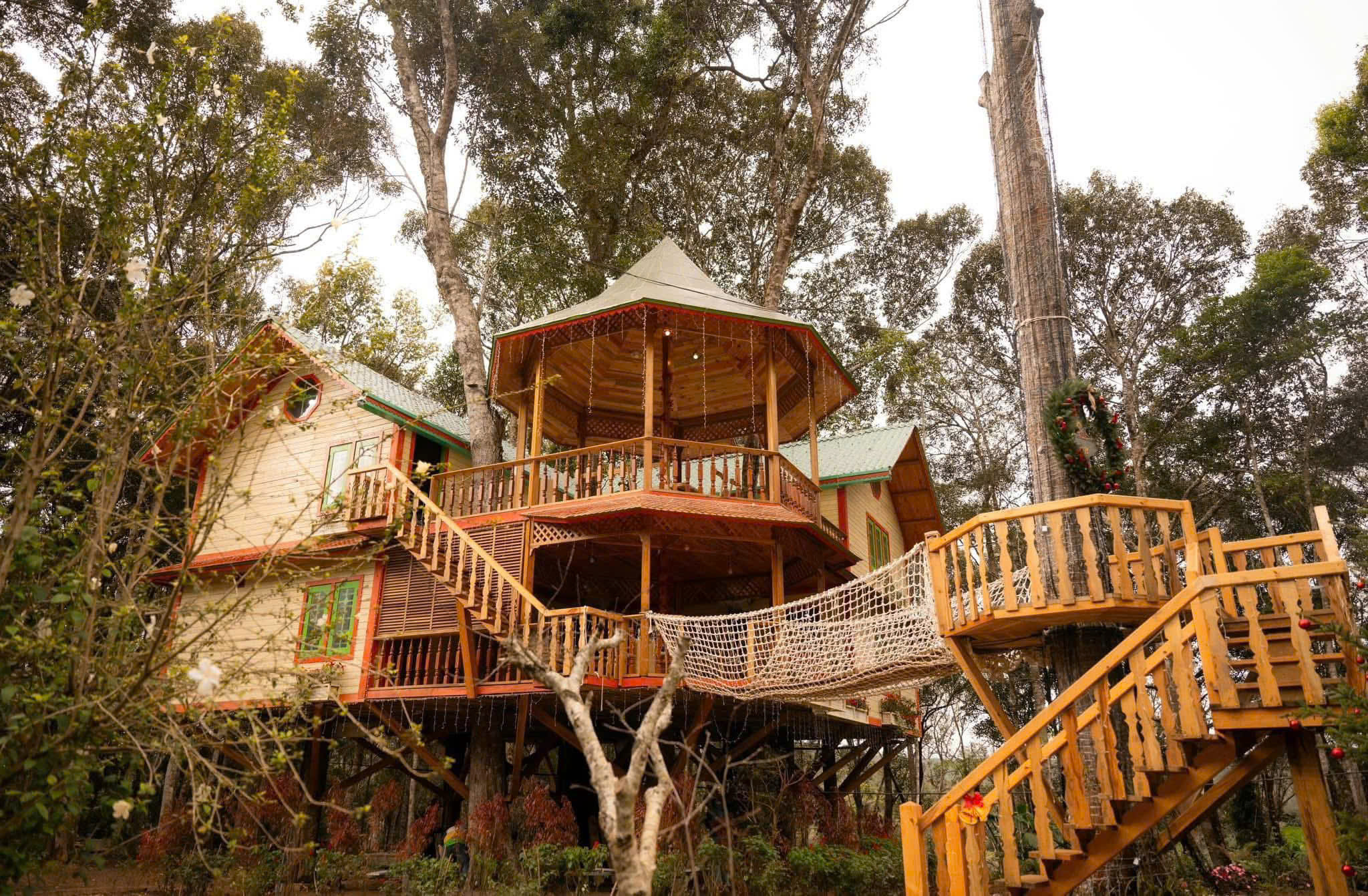 Gallery - Măng Đen Treehouse được đề cử ‘Làng du lịch tốt nhất thế giới’ - image 4