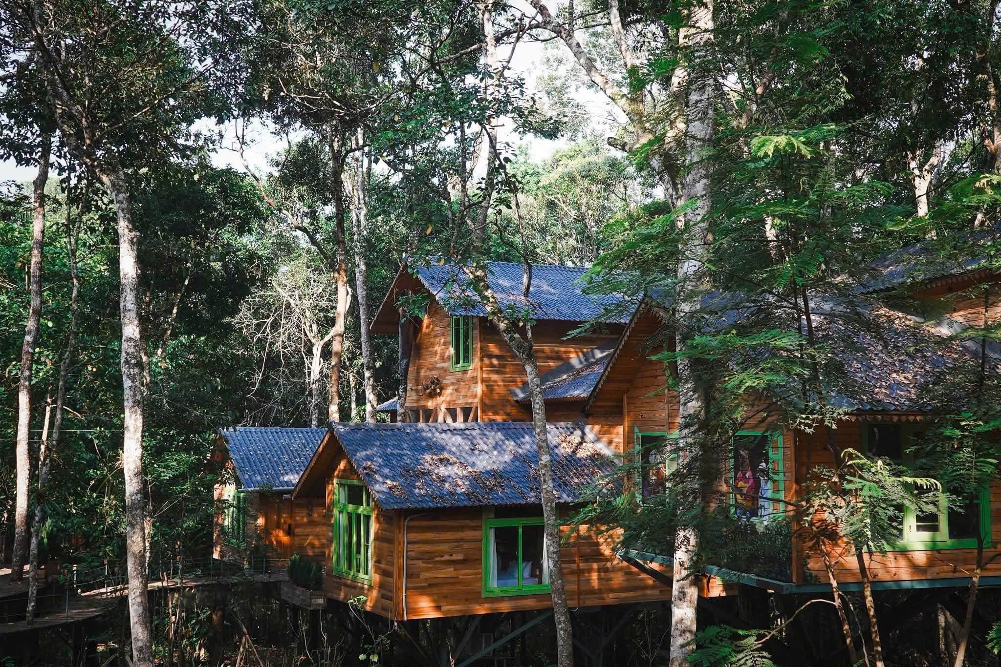 Gallery - Măng Đen Treehouse được đề cử ‘Làng du lịch tốt nhất thế giới’ - image 11
