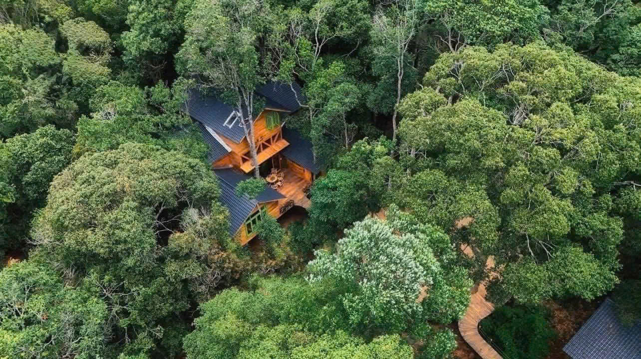 Gallery - Măng Đen Treehouse được đề cử ‘Làng du lịch tốt nhất thế giới’ - image 9
